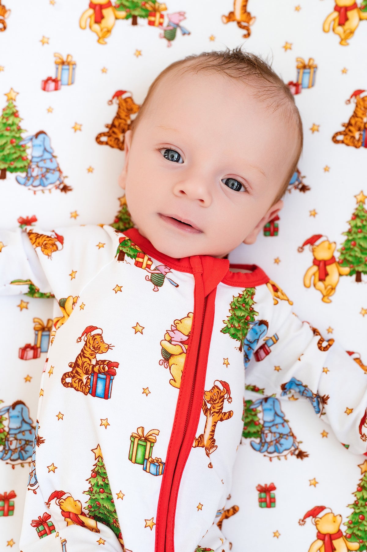 Beary Merry Christmas Fitted Crib Sheet